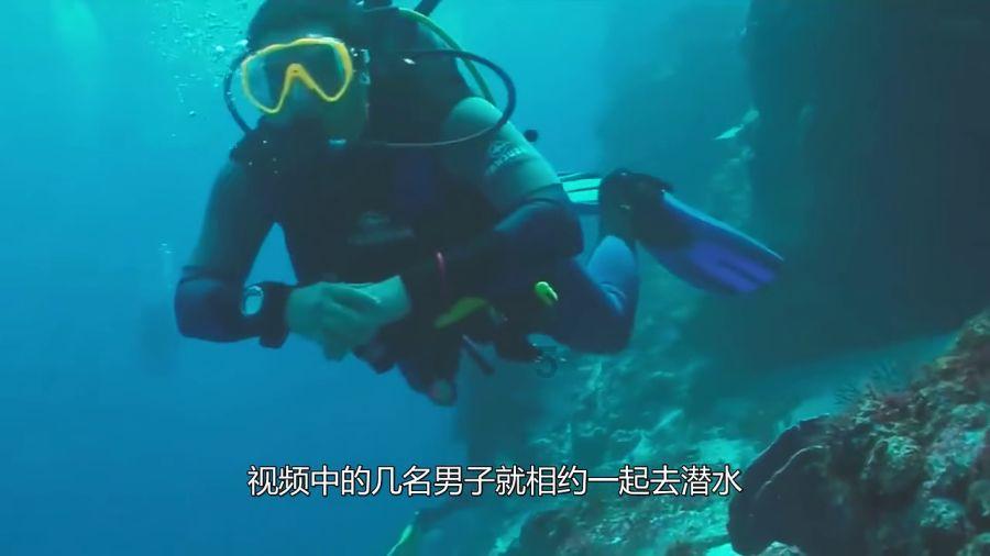 煮猪皮冻时注意这1步,皮冻清澈透亮有嚼劲,而且没腥味